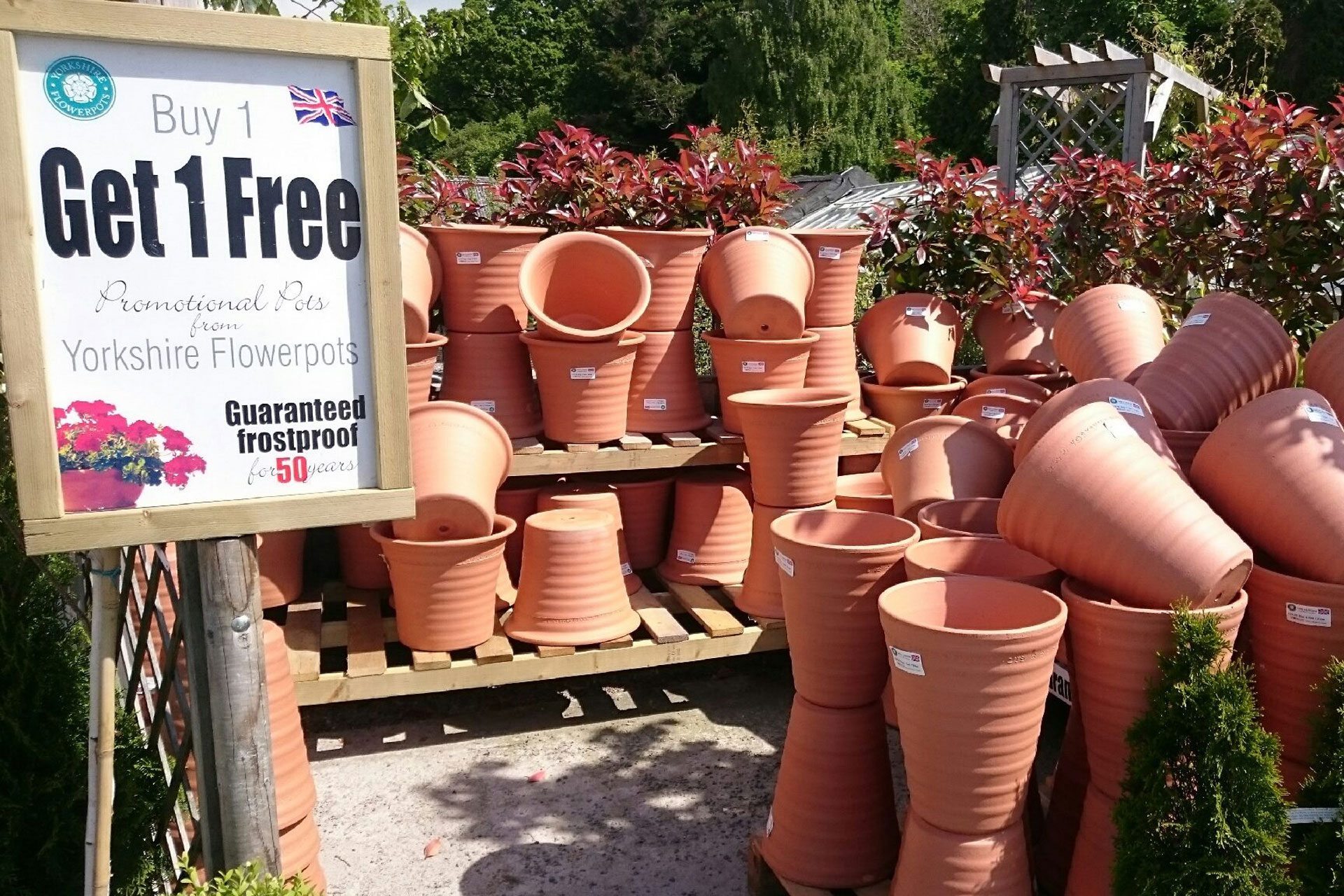 Buy One Get One Free Flowerpots