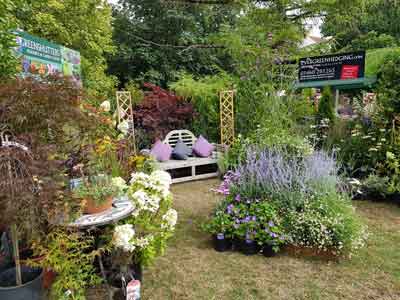 Stand-at-Taunton-Flower-Show-2018-02
